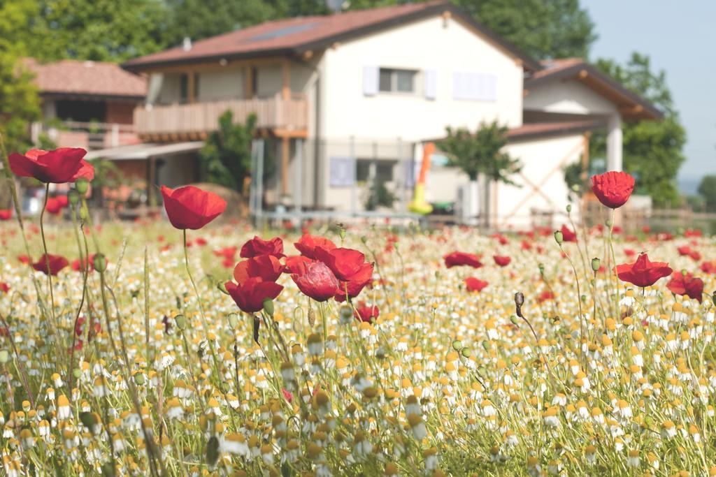 Comeback Stezzano Exteriér fotografie