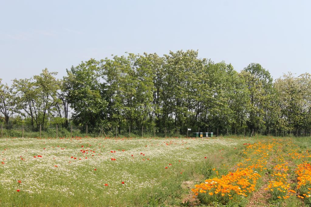 Comeback Stezzano Exteriér fotografie