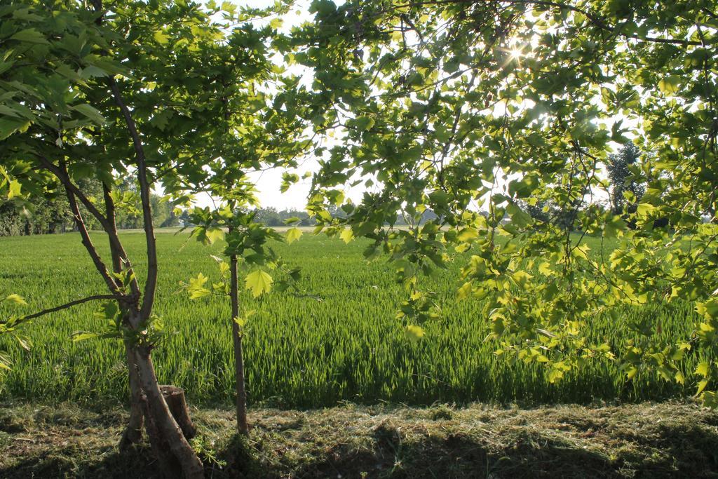 Comeback Stezzano Exteriér fotografie